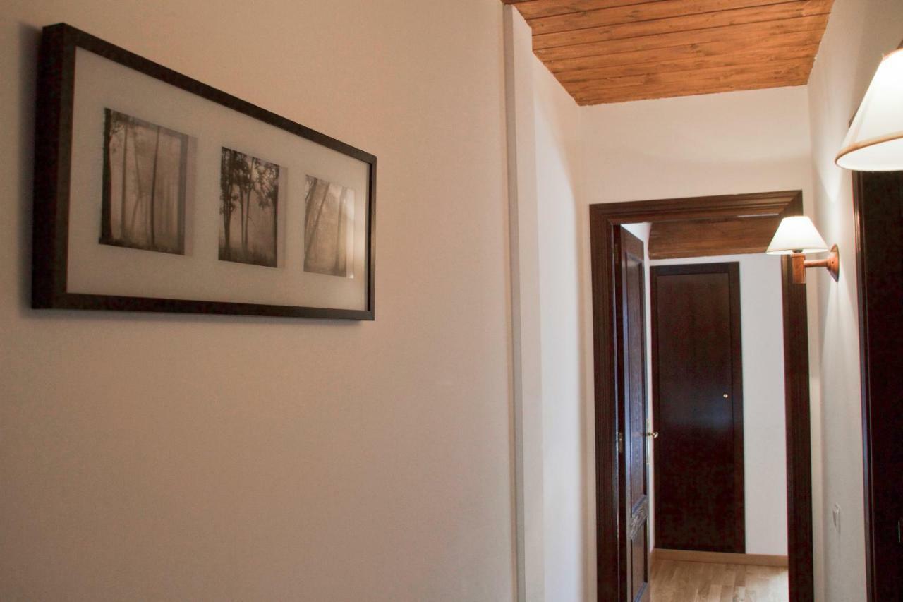 Cau D Aneu Duplex En El Centro D Esterri D Aneu Esterri d'Àneu Eksteriør billede